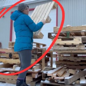 The GENIUS new pallet idea everyone's copying this winter!