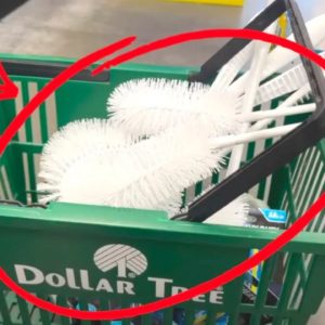 Why everyone's buying new Dollar Store toilet brushes for Christmas (BRILLIANT!)