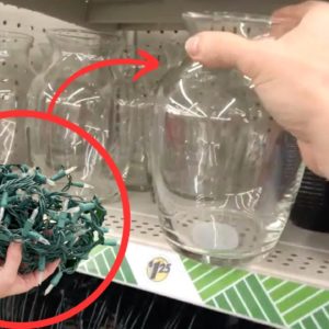 Grab string lights and a Dollar Store vase...this new holiday idea is MAGICAL!