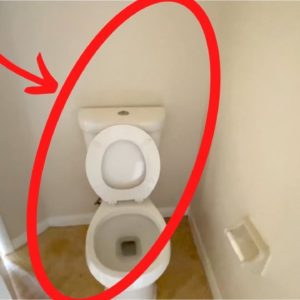 Put this BEHIND your toilet! (BRILLIANT!)