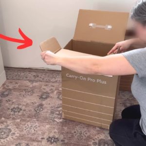 She cuts up a cardboard box for this BRILLIANT living room idea!