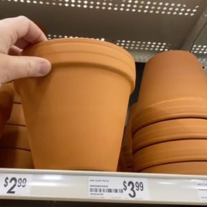 Buy a $2 Dollar Store pot for THIS (Brilliant!)