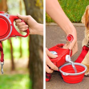 Spring Pet Care Essentials 🐾🌞🌸 Gadgets & Hacks To Spoil Your Fur Babies!