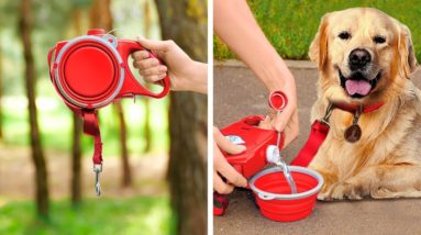 Spring Pet Care Essentials 🐾🌞🌸 Gadgets & Hacks To Spoil Your Fur Babies!