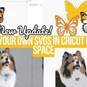 🚨AMAZING MUST SEE CRICUT DESIGN SPACE UPDATE | CONVERT PNG IMAGES & PHOTOS INTO SVG FILES! 🚨