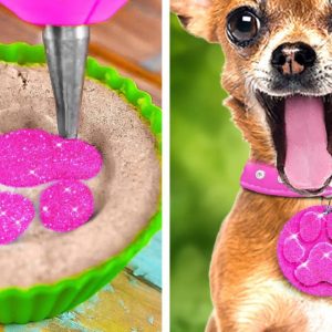 Cute DIYs And Hacks For Pet Lovers 🐾 💖