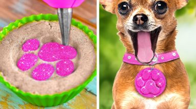 Cute DIYs And Hacks For Pet Lovers 🐾 💖