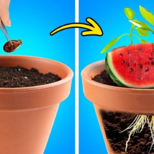 Watermelon Gardening 🍉🍉 And Satisfying Cut And Peel Hacks