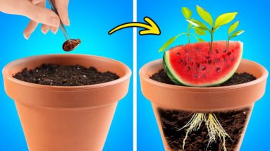 Watermelon Gardening 🍉🍉 And Satisfying Cut And Peel Hacks