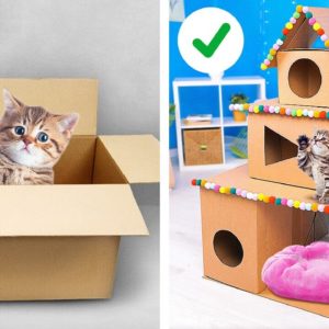 Cool Cardboard Crafts and Ideas to Spark Your Imagination ✨