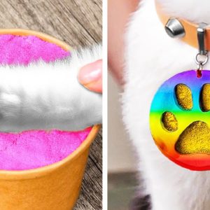 Pet Care Simplified: Genius Hacks for Happy Pets 🐕🐈✨