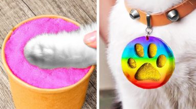 Pet Care Simplified: Genius Hacks for Happy Pets 🐕🐈✨