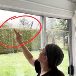 Everyone will be taping up their windows when they see this brilliant idea!