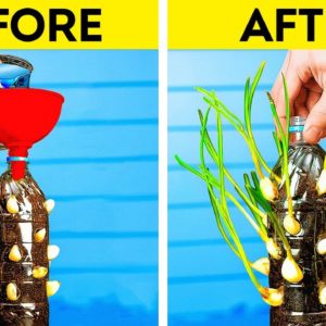 Growing Fresh Food at Home 🌿🏡 Brilliant Gardening Hacks