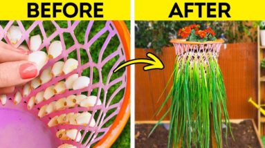 How To Grow Your Own Fresh Food at Home 🌱🏡 Genius Gardening Hacks!