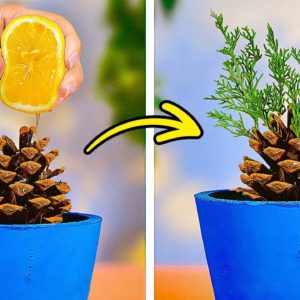 Top Secret Gardening Hacks You Wish You Knew Sooner! 🌿😲