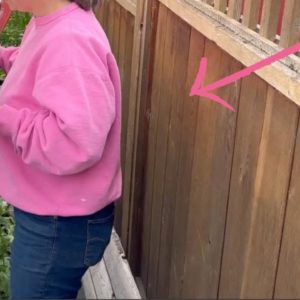 The BRILLIANT new fence idea homeowners are obsessed with!