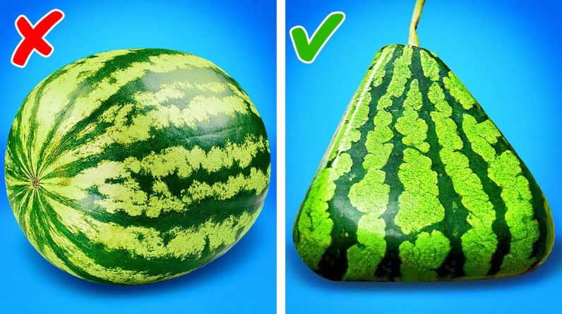 HOW TO MAKE EXPENSIVE WATERMELON AT HOME 🍉 PLANT HACKS! 🌱