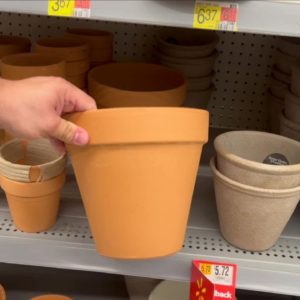 Grab a Walmart pot for this BRILLIANT new front front porch idea!