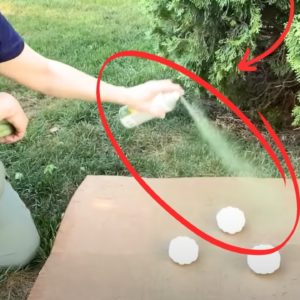 She sprays Dollar Store foam balls for a GENIUS new idea!