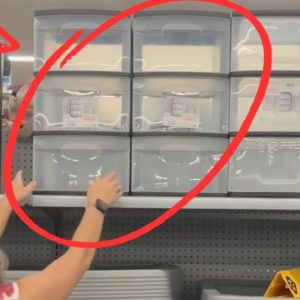 The brilliant new reason everyone's buying cheap Walmart storage bins!