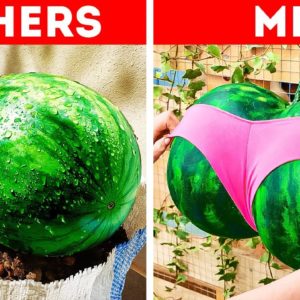 GROW YOUR FRUITS WITH THESE GARDENING HACKS ✨🍉