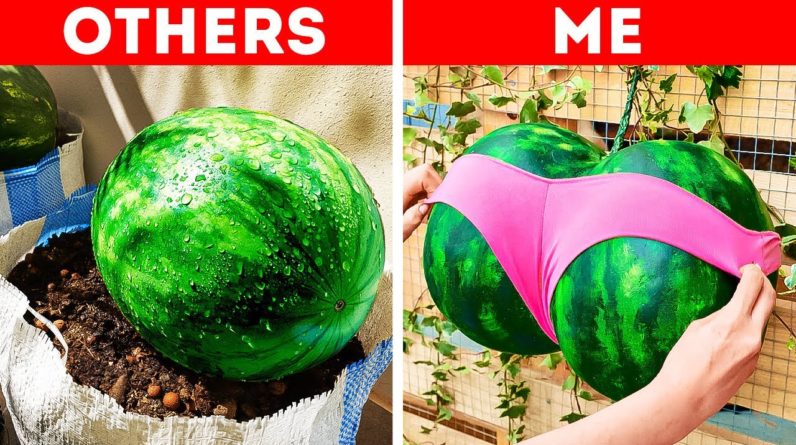 GROW YOUR FRUITS WITH THESE GARDENING HACKS ✨🍉