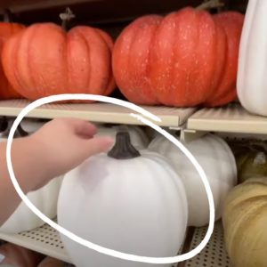 Trending NEW pumpkin DIY ideas everyone's copying in fall 2024!